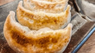 松戸市 ロカスポ松戸市版 ろかまつ